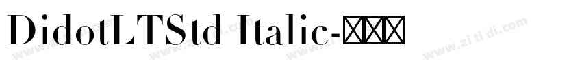 DidotLTStd Italic字体转换 DidotLTStd Italic字体转换